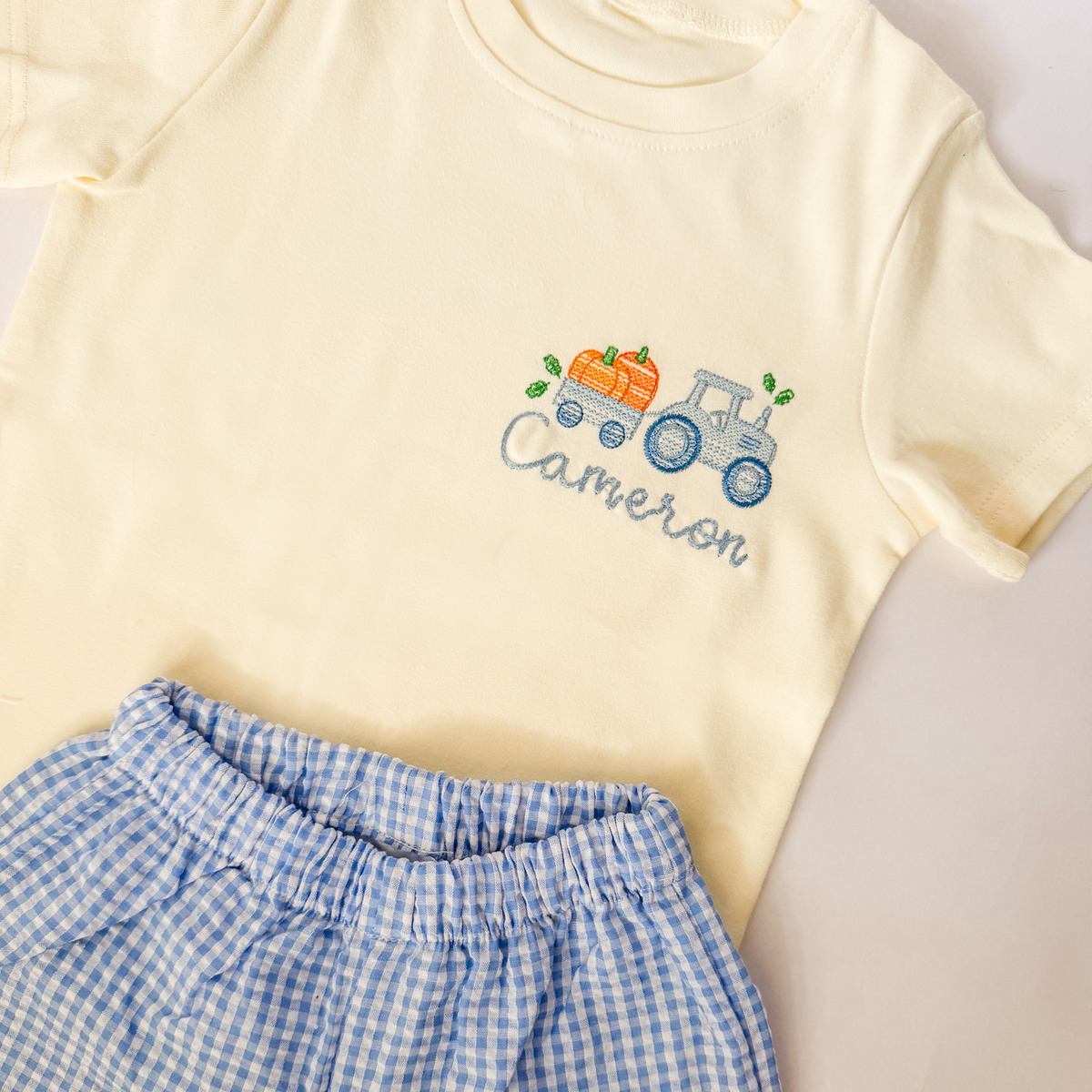 Fall Sibling Collection Boy Pumpkin T-Shirt and Short Set - Savannah Creations