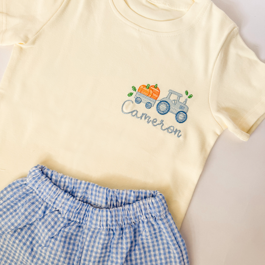 Fall Sibling Collection Boy Pumpkin T-Shirt and Short Set - Savannah Creations