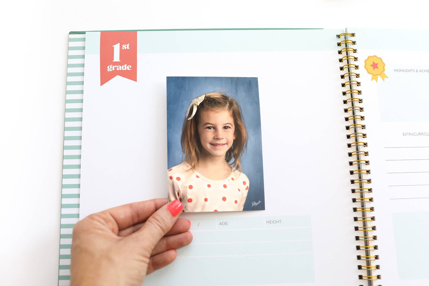 The School Years Memory Book: A Timeless School Memory Book - Savannah Creations